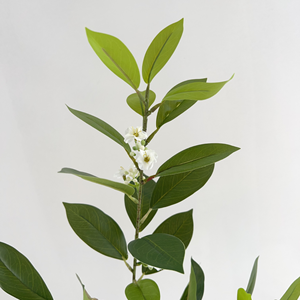 All'ingrosso artificiale vero tocco in lattice foglie di gelsomino 80cm rami verdi di lunga durata per la laurea del ringraziamento di nozze - Product Image 5