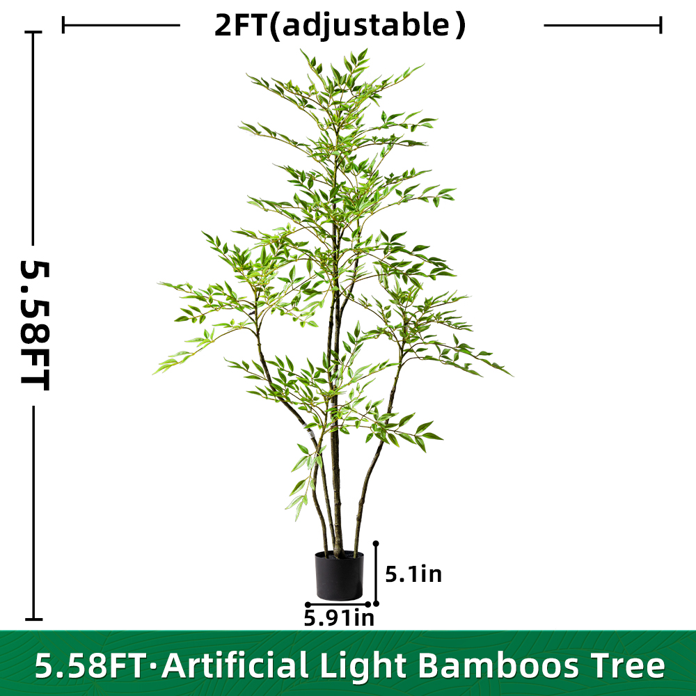 4.8FT/170CM