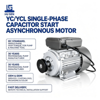 Moteur asynchrone monophasé à coque en aluminium de haute qualité 2,2 kW-2P à 2800 tr/min 50 Hz 220 V