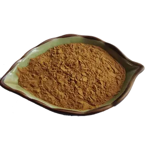 고품질 해초 추출물 Sargassum fusiforme 추출물