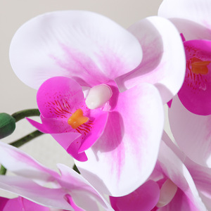 Flor Artificial Realista <span class=keywords><strong>de</strong></span> <span class=keywords><strong>Phalaenopsis</strong></span>, Pegada a Mano, Resistente al Agua, <span class=keywords><strong>de</strong></span> Larga Duración, Decoración Interior para el Hogar y la Oficina, Flor Biónica - Product Image 3
