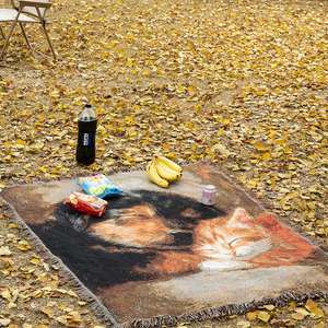 Chăn dệt jacquard họa tiết chó con hoạt hình bốn mùa, chất liệu polyester 100% thân thiện với môi trường, hàng mới về - Product Image 2