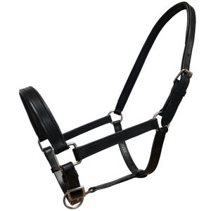 Licol de cheval moderne en cuir de couleur personnalisée avec rembourrage en polaire doux, ajustement confortable de la tête et nezelle confortable – Qualité supérieure - Product Image 3