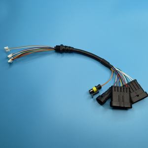 Vente Chaude Direct Usine ODM OEM Faisceau de Câbles Personnalisé AMP Terminal Automobile Conducteur en Cuivre Étamé Isolation <span class=keywords><strong>PVC</strong></span> pour - Product Image 2