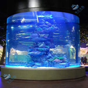 Aquarium en Acrylique Grand Diamètre, Cylindre Géant pour Poissons et Grands Bacs à Poissons - Product Image 3