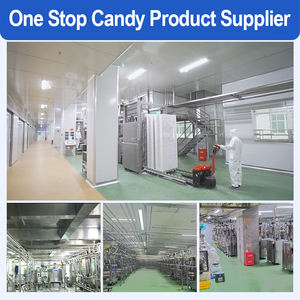 Holeywood 80gフルーツキャンディージュース皮をむいたマンゴーミイラ楽しいフルーツスナックグルテンフリーハラール認定フルーティーフレーバースナックボックス - Product Image 6