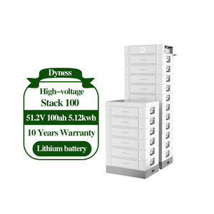 [15kWh-76,8kWh] 100AH 15kWh 30kWh 40kWh 60kWh Dyness Lithium-Ionen-Batteriepack Heimsystem-Rack mit LiFePO4 für den Hausgebrauch - Product Image 1