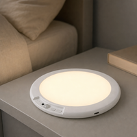 Lampe de nuit minimaliste rechargeable magnétique, lampe à disque LED avec capteur tactile ABS, lumière blanche chaude, 3 températures pour la maison, la chambre à coucher