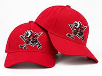 OME Baseballpet met aangepaste borduring, katoenen twill, 6 panelen, gestructureerde pet, verstelbaar, outdoor sport, team, unisex, groothandel pet