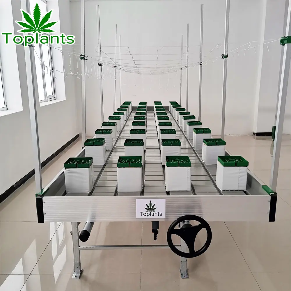 vertical hydroponic growing irrigation complete whole system Hydroponic Growing bed drain plastic tray