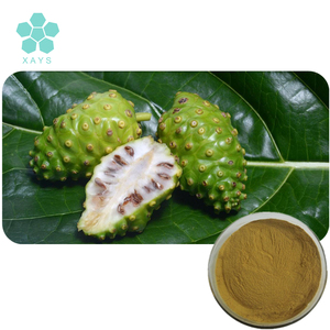 Ingrediente 10:1 20:1 <span class=keywords><strong>Noni</strong></span> frutta estratto in polvere - Product Image 1