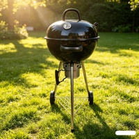 Barbecue Commercial Professionnel d'Extérieur au Gaz et au Bois avec Accessoires pour Barbecue en Plein Air