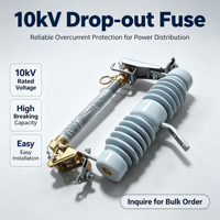 Disjoncteur-coupant céramique monté sur poteau série RW12 12 kV 200 A, fusible d'expulsion, norme IEC, pour projets de réseaux électriques EPC