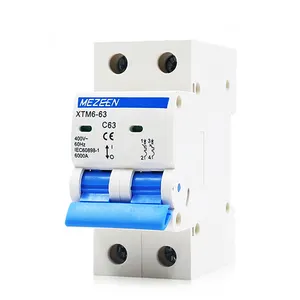 Mezeen Xtm6 Mini Stroomonderbreker 2 Pool Mcb 6a 10a 20a 32a 63a 230/400V Laagspanning Din Rail Mount Schakelaar