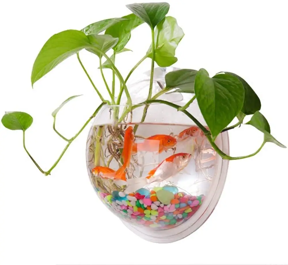 크리 에이 티브 디자인 홈 장식 투명 벽 마운트 식물 매달려 꽃병 아크릴 물고기 그릇 물고기 탱크 수족관 높은 품질