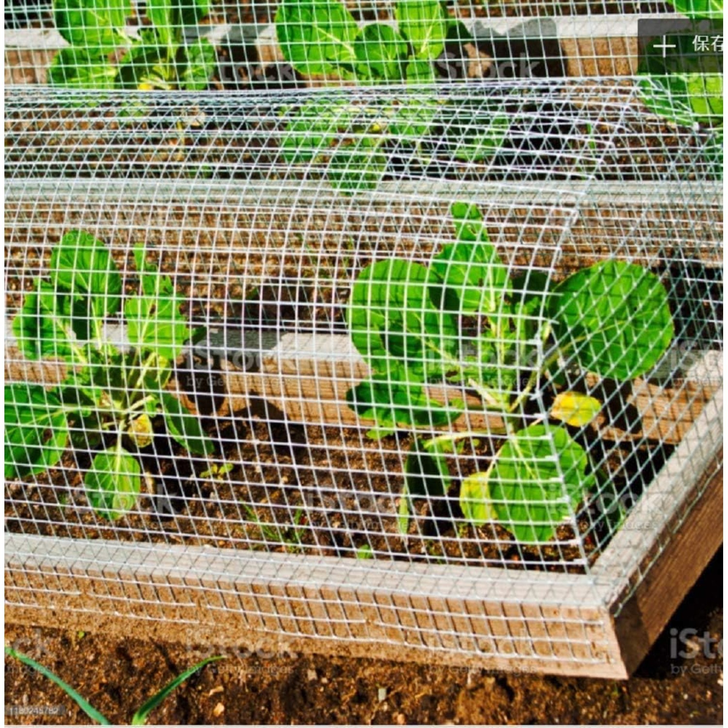 How to Choose the Best Bird Enclosures: A Complete Buying Guide