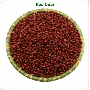 Simulación <span class=keywords><strong>de</strong></span> granos, cereales, café, cacahuetes, maíz, soja, frijol mungo, frijol rojo, adornos decorativos, accesorios <span class=keywords><strong>de</strong></span> fotografía, <span class=keywords><strong>sin</strong></span> origen. - Product Image 4