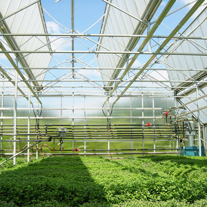 Pannelli Alveolari in <span class=keywords><strong>Policarbonato</strong></span> Estruso UV Trasparente da 6mm 8mm 10mm per Tetti di Serre - Product Image 4