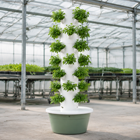 Tour de jardinage vertical à faible entretien - Système hydroponique facile à entretenir pour les débutants et les amateurs