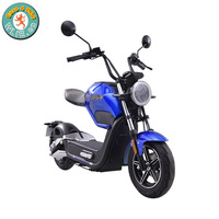 800W elektrik scooter Moto Électrique Miku Max (Euro 4)