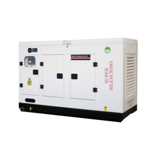 Generador Eléctrico de 20 kVA, 30 kVA, 40 kVA, 50 kVA, 100 kVA, 200 kVA, 400 kVA, 50 Hz/60 Hz, Tipo Súper Silencioso, 1800 RPM, Arranque a 24 V - Product Image 6
