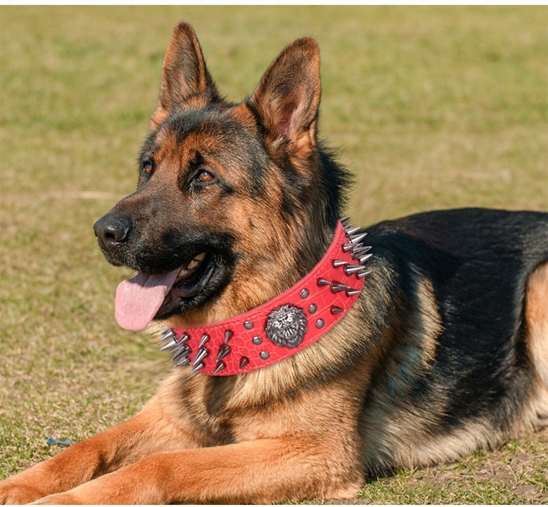 wide spike dog collars