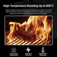 Grill à charbon de bois sur pied LianFu YS-900C personnalisable (Rouge Bordeaux) avec commande par bouton 100W pour boulangerie, traitement des noix et du maïs