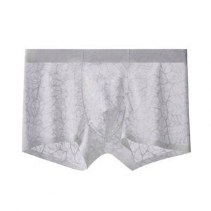 Nueva Ropa Interior Antibacteriana para Hombre, Calzoncillos Boxer Sexys de Nylon Transpirable, Shorts para Pareja - Product Image 1