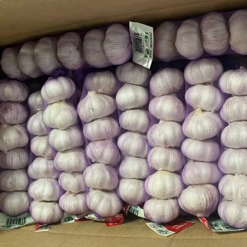 Leading Chinese Fresh Garlic Supplier with Garlic Market Price for Sales 5.5cm 250g/500g Per bag