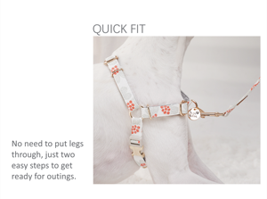 Arnés de perro personalizado con parada de tracción impresa de lujo, características personalizadas, estilo de moda sólido para caminar perros, venta al por mayor - Product Image 5