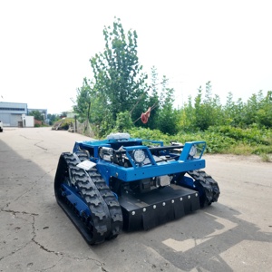 Tondeuse à gazon de jardin, tondeuse ATV, tondeuse avec ensemble de ramassage d'herbe, tondeuse à gazon à batterie, robot tondeuse, débroussailleuse - Product Image 4