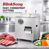 Machine à découper et à hacher la viande électrique professionnelle en acier inoxydable BlinkSong, coupe-viande robuste pour les centres de transformation de la viande, 50 kg