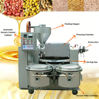 Máquina de Extracción de Aceite de Maní de 1-10 TPD con Tostador Eléctrico, Transportador y Prensa-Filtro, Máquina Todo en Uno para Molinos de Aceite de Pequeña Escala