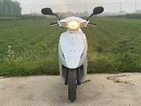Scooter Honda Z4 50cc 4 temps refroidi par eau - Vélo de banlieue à essence économe en carburant pour les trajets urbains