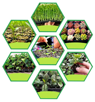 DD3199 pot pembibitan pot tanaman semir dalam ruangan tanaman penanam Benih Tanaman Mini nampan bibit