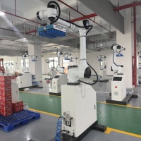 Robot Colaborativo Industrial para Paletización, Solución Automatizada para la Manipulación en la Producción de Alimentos