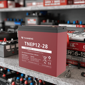 <span class=keywords><strong>Batterie</strong></span> Plomb-Acide AGM à Décharge Profonde Tianneng 12 V, <span class=keywords><strong>Batterie</strong></span> Portable 36 V pour Trottinettes Électriques, Chariots de Golf et Fauteuils Roulants Électriques - Product Image 1