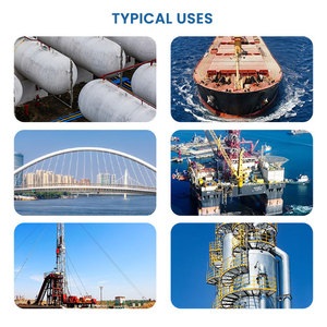 Estructura de acero a base de acrílico Resina epoxi Escamas de vidrio Recubrimiento líquido <span class=keywords><strong>anticorrosivo</strong></span> Aplicación de cepillo industrial Pintura <span class=keywords><strong>en</strong></span> aerosol - Product Image 5