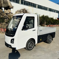 Quadricycle électrique lourd homologué EEC L7e Runhorse - Autonomie de 201 à 300 km, moteur de 7,5 kW, batterie de 20,6 kWh, mini pick-up fabriqué au Shandong