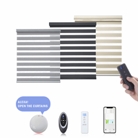 Proveedor de fábrica Smart Motorized Window Shade Google WiFi y Alexa Control remoto Electric Zebra Blinds para Windows