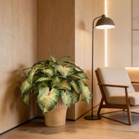 Plantes en pot d'Alocasia artificielle de qualité supérieure, design personnalisé Nifloral, aspect varié, décoration pour la maison, le bureau, l'hôtel, Alocasia en plastique coloré, bonsaï