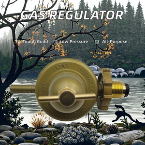 วาล์วนิรภัยสำหรับการทำอาหาร ตัวปรับแรงดันแก๊สแรงดันปานกลาง โครงสร้างลดแรงดันอย่างมีประสิทธิภาพ - Product Image 2