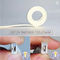 Ruban LED néon fin 4 mm DC12V, diffuseur en tube de silicone flexible, éclairage encastré pour étagères, armoires, extérieur