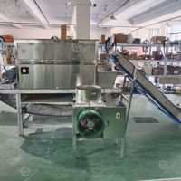 Ligne de production industrielle automatique de machine à éplucher l'ail en acier inoxydable avec un taux d'épluchage de 95 % pour le traitement de l'ail