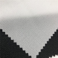 Métier à tisser à jet d'eau 75D 100% interligne adhésive d'interfaçage en polyester