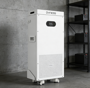 Batteria al Litio DYNESS PowerBrick SC 51.2v 300ah 16kwh 15kwh con BMS Integrato e Sistema di Protezione Antincendio, 8000 Cicli, Power Wall per Energia Domestica - Product Image 1