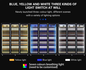 Tủ lạnh đa tầng Thương mại-tủ trưng bày tủ đông cho đồ uống và bia - Product Image 6