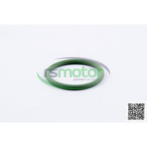 Joint torique OEM pour moteur à gaz naturel RS-12301480 MWM Pièces de moteur pour machines - Product Image 4