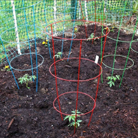 Support de plante inversé robuste et réglable en acier galvanisé pour tomates – Meilleures ventes