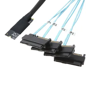 ม. 2 mkey (ขนาด2242 <span class=keywords><strong>M</strong></span>.2) ถึง4-Port SAS SFF-8482สายแปลงความเร็วสูงสำหรับเซิร์ฟเวอร์2-in-1 - Product Image 3
